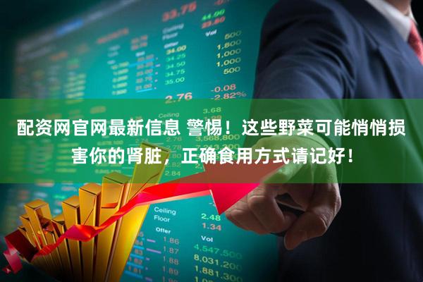 配资网官网最新信息 警惕！这些野菜可能悄悄损害你的肾脏，正确食用方式请记好！