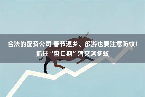 合法的配资公司 春节返乡、旅游也要注意防蚊！抓住“窗口期”消灭越冬蚊